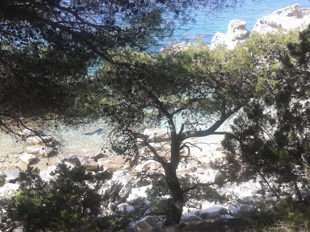 Apartmani Slavko Tuka Orebić Δωμάτιο φωτογραφία